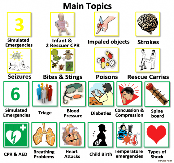 first-aid-level-2-3-with-cpr-course-pulse-point